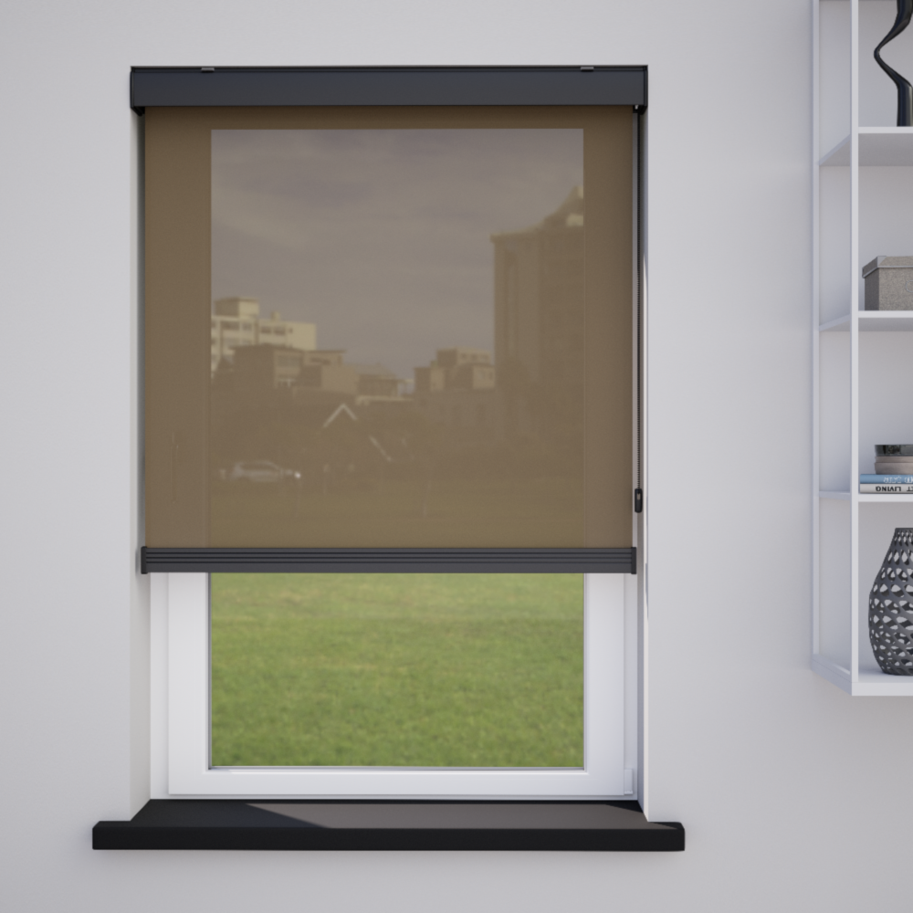 Rolgordijnen Transparant Linnen