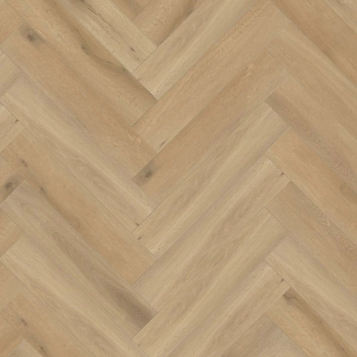 Gelasta Callisto 4201 Natural Oak Light Visgraat Dryback