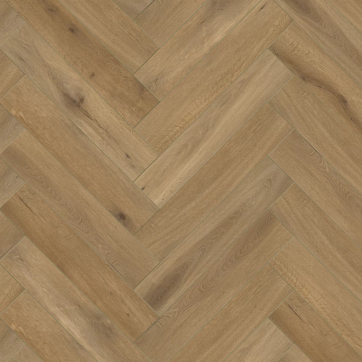 Gelasta Callisto 4202 Natural Oak Visgraat Dryback
