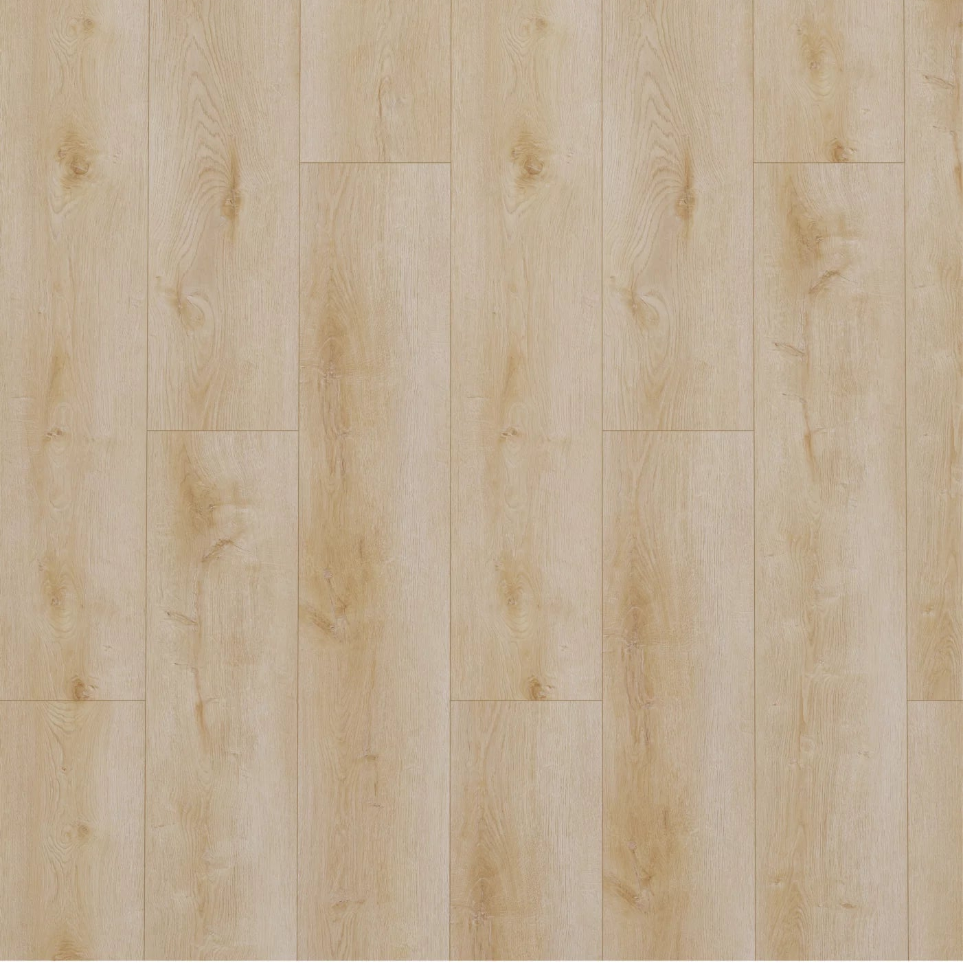 Gelasta Dynamic 2500 Natural Light Plank Dryback