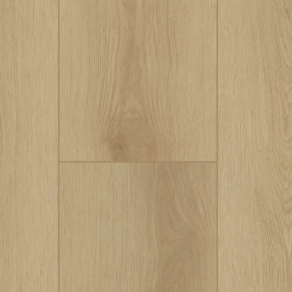 Gelasta Firmfit 6500 Sierra Light Plank XL Dryback