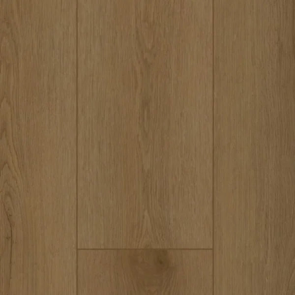 Gelasta Firmfit 6503 Sierra Brown Plank XL Dryback