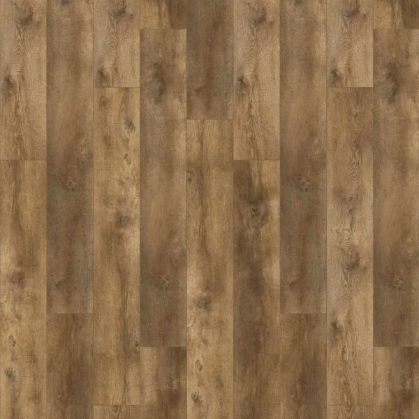 Gelasta Nevada 6002 Valley Oak Cinnamon Plank XL Dryback