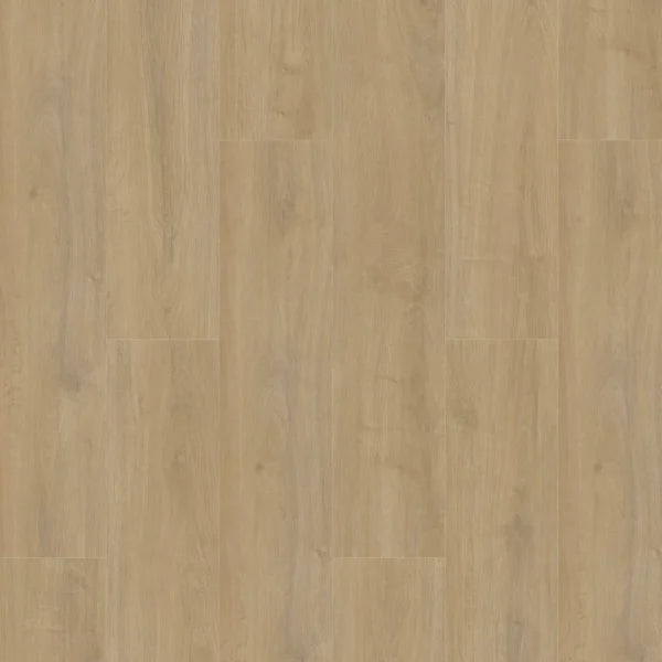 Gelasta Oakland 6100 Lime Plank XL Dryback
