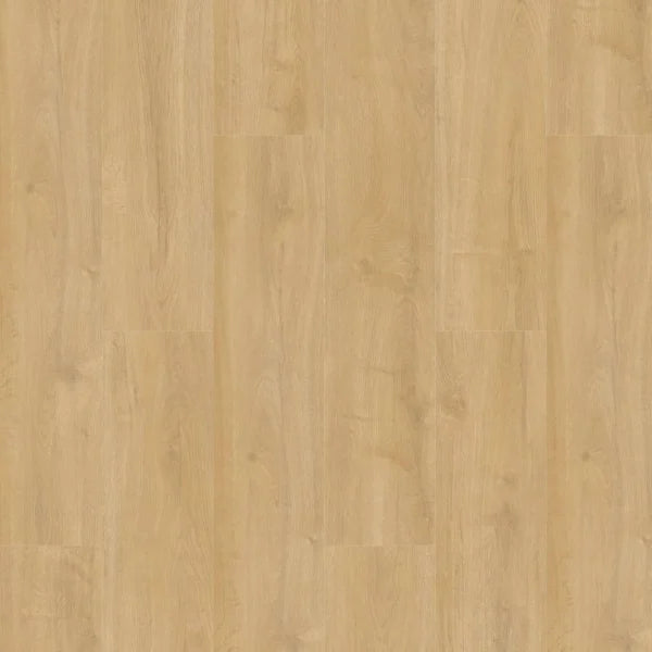 Gelasta Oakland 6102 Desert Plank XL Dryback