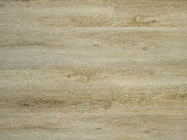 Hamat 905 Premium 5023 Plank XL Dryback