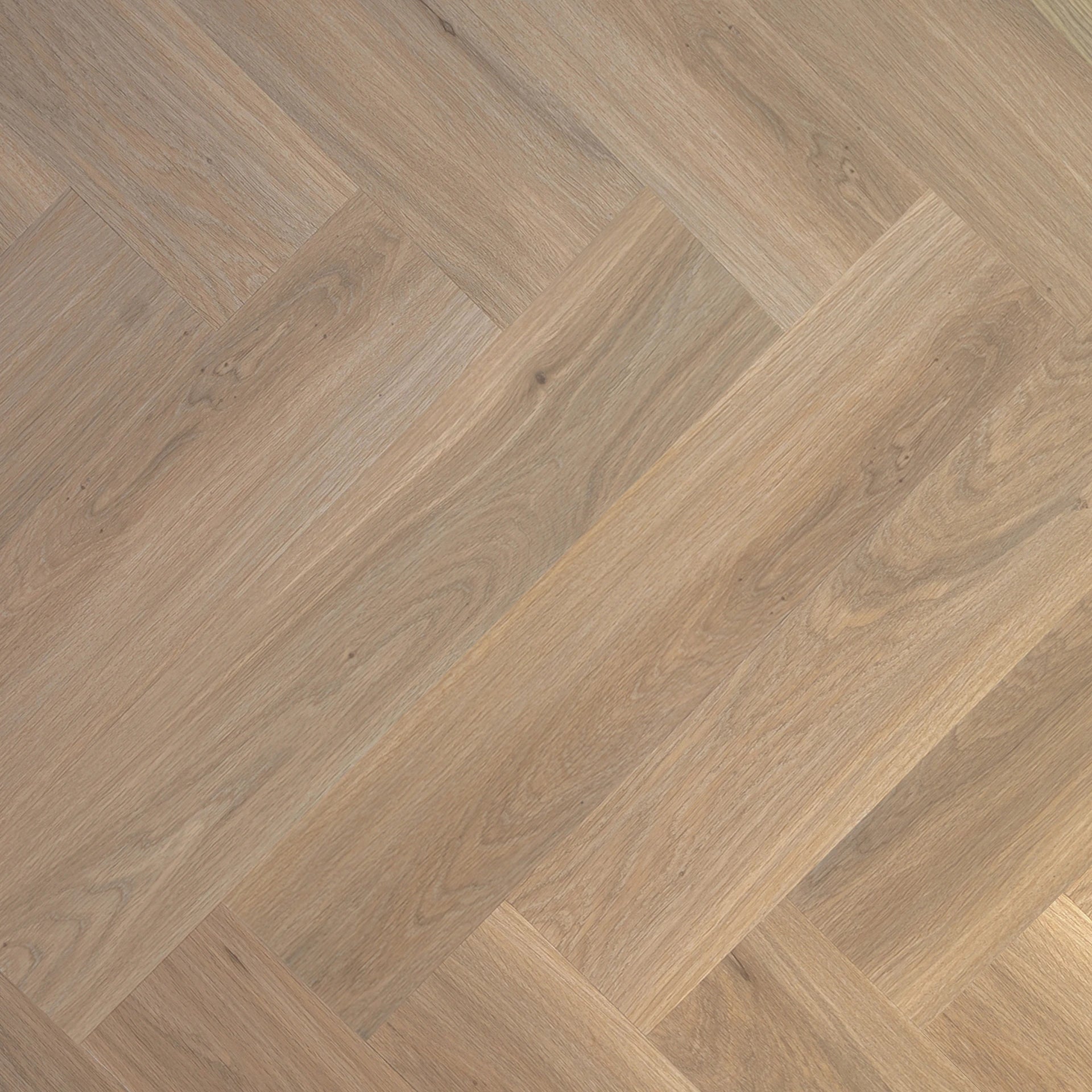 LVLNINE Premier Bare Sand Visgraat Dryback