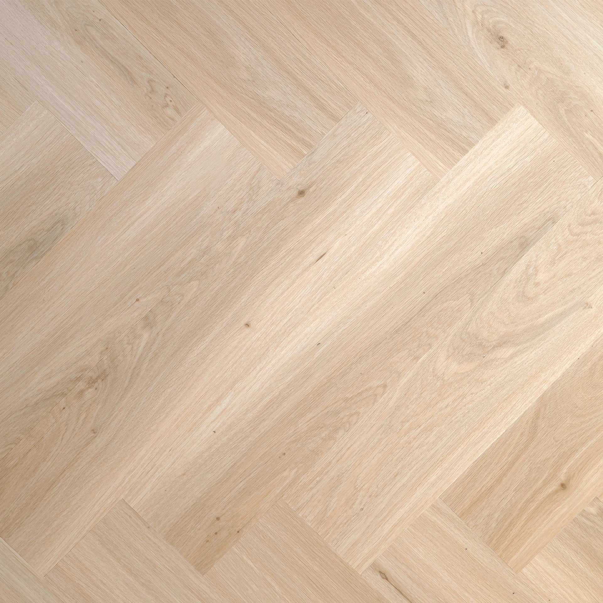 LVLNINE Premier Morning Light Visgraat Dryback