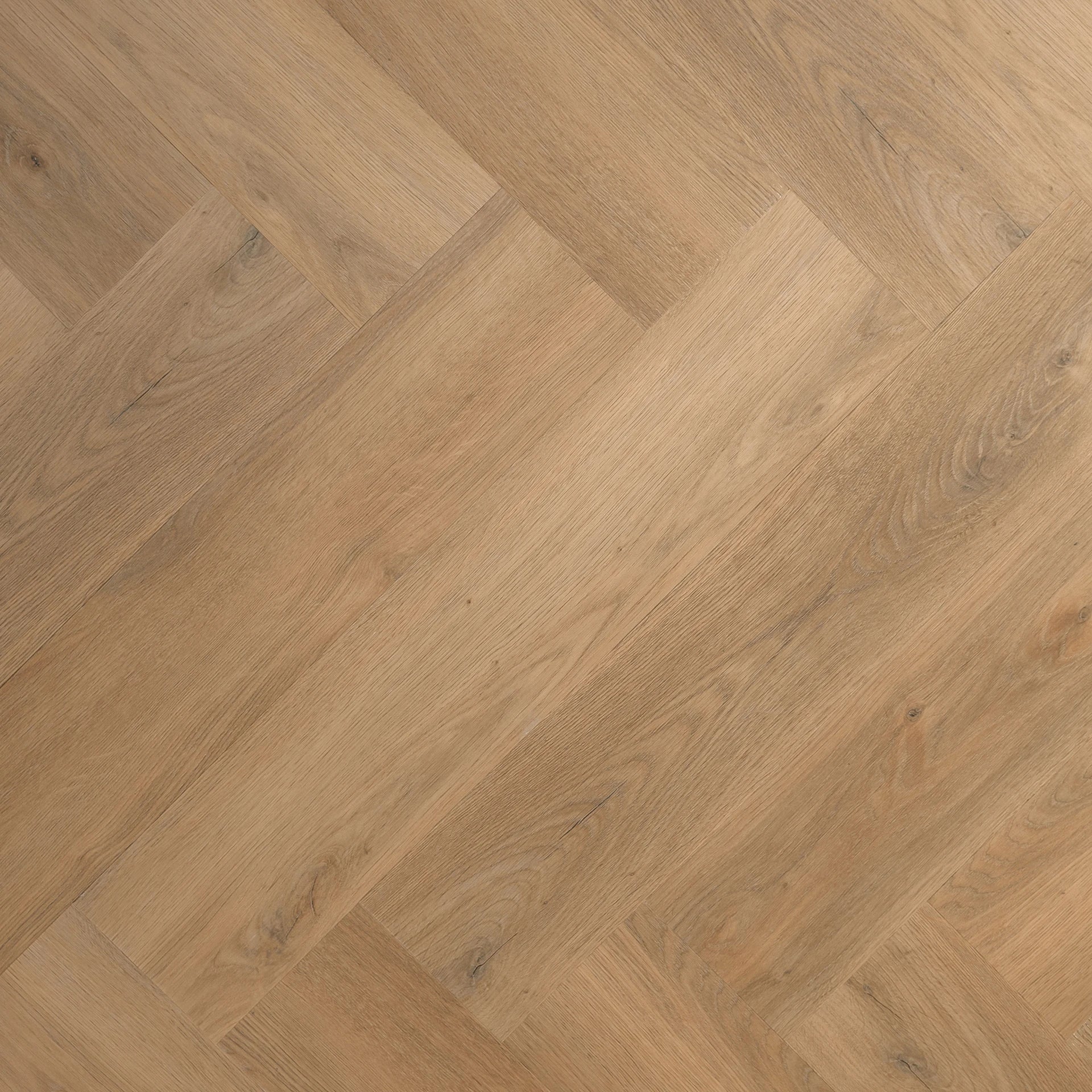 LVLNINE Rustique Burnt Honey Visgraat Dryback