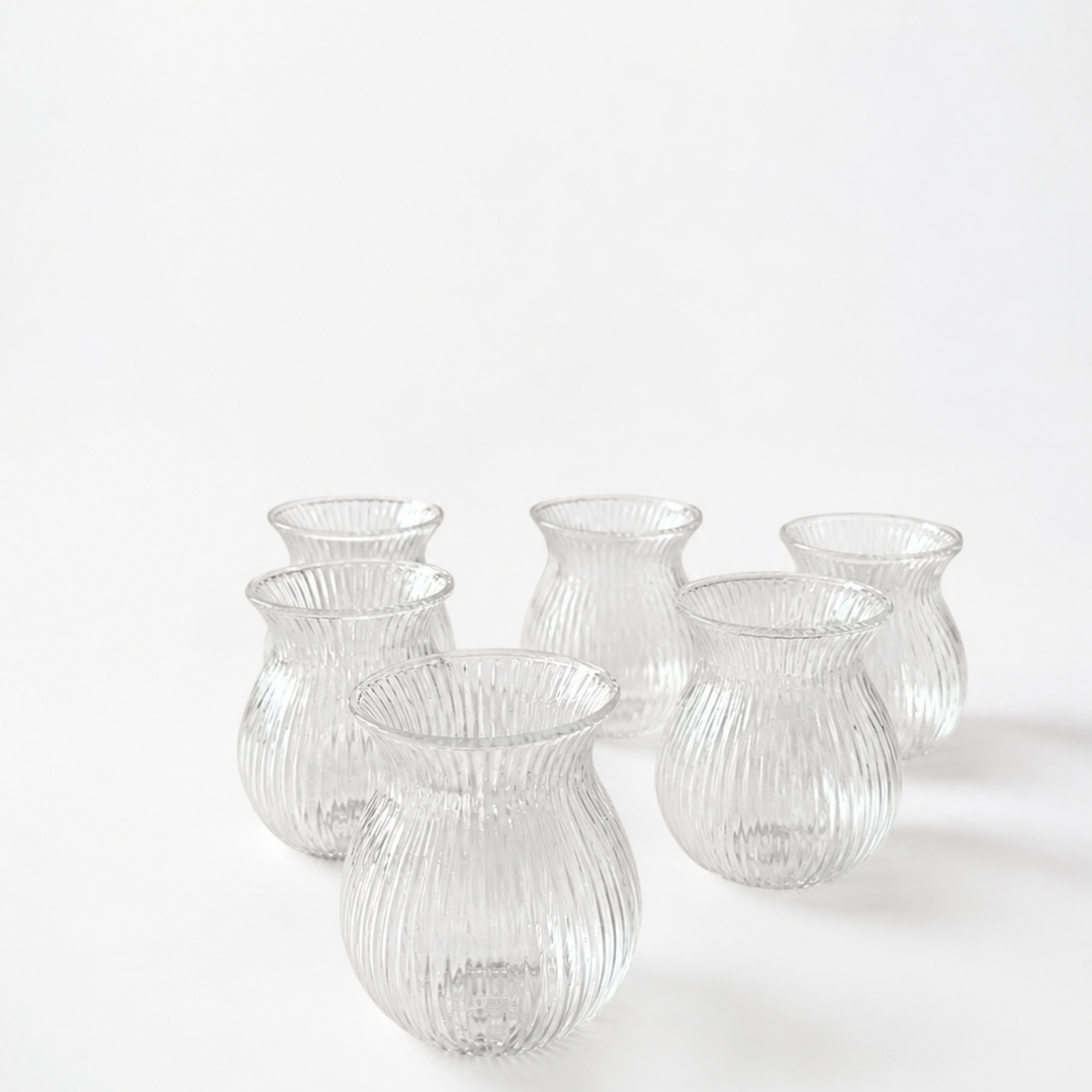 Shotglazen / Kahve yani Set van 6 – 100 ml